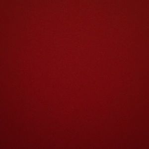 Meet your Posher, Koko